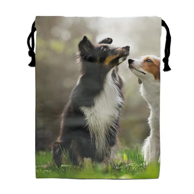 Amazoncom 1 Pack Animal Border Collie Dogs Backpack