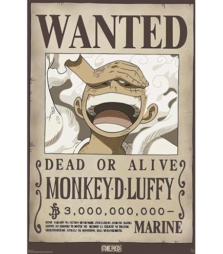 Amazon.com: One Piece - Anime/Manga Poster (Wanted Dead Or Alive