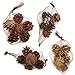 24 Pack Natural Pine Cones For Christmas Fall Thanksgiving Harvest Autumn Party Craft Accessory Decorations, 4 Winter Holiday Colors Red White Gold and Brown By Gift Boutique