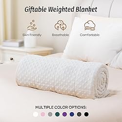 Wemore Minky Dot Weighted Blanket for Adults Queen