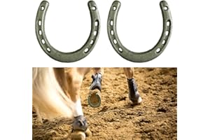 WINPLAN 【Complimentary Horseshoe Brush】 Horseshoe Ring Horseshoe Protection Safety Horse Accessories Stable Supplies cast Iron Casting Durability