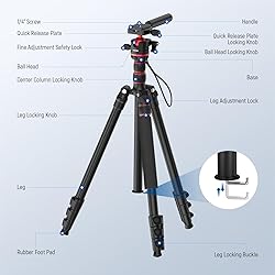 NEEWER Basics Camera Tripod Monopod, 77" Compact