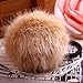 LOVEF Fashion 6 Pcs Sweet Rabbit Faux Fur Fluffy Ball Pom Pom Scrunchies Elastic Ponytail Holder hair rope hair accessories