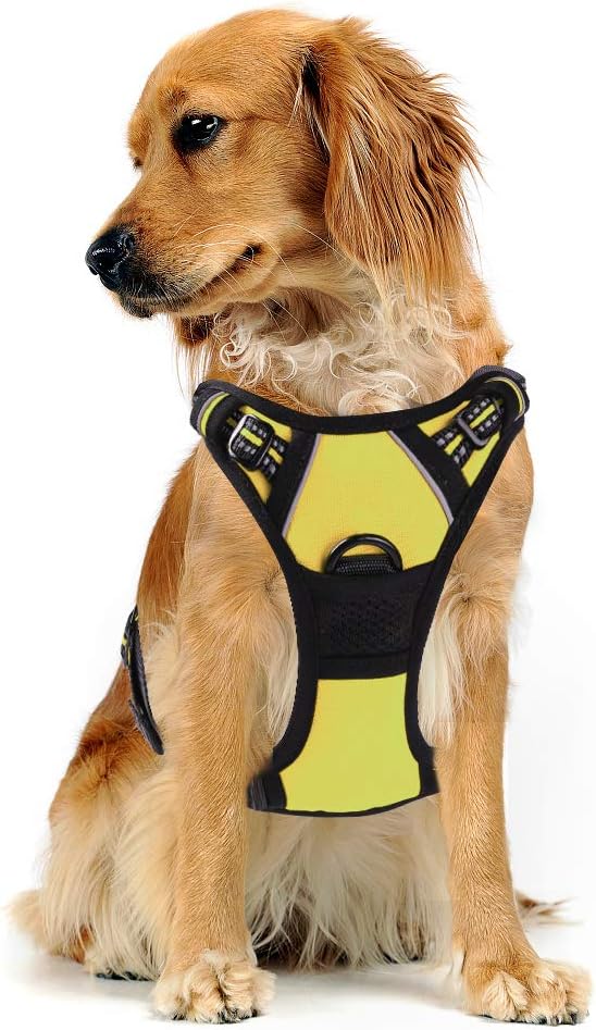 Rabbitgoo NoPull Dog Harness Adjustable Reflective Oxford Breathable