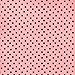 Authentique Paper 
