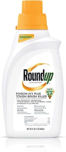 hstcstbl-table__image