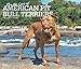 For the Love of American Pit Bull Terriers 2020 14 x 12 Inch Monthly Deluxe Wall Calendar with Foil by 