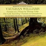 ORCHESTRAL FAVOURITES 3                            image