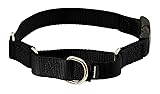 PetSafe Martingale Dog Collar with Quick Snap