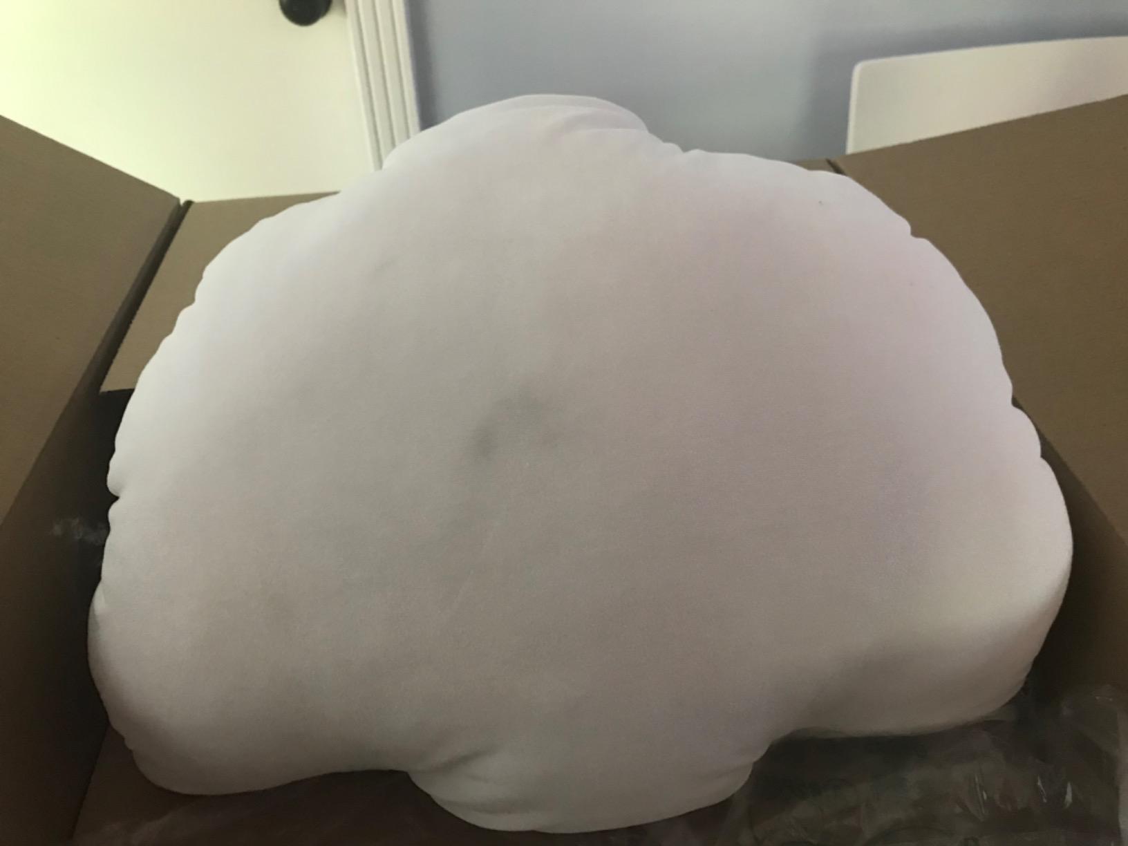 User review photo