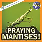 Praying Mantises!: A My Incredible World Picture Book for Children (My Incredible World: Nature and Animal Picture Books for Children)