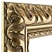 Craig Frames 21247906 5 by 7-Inch Picture Frame, Ornate Finish, 2.03-Inch Wide, Bronze and Gold