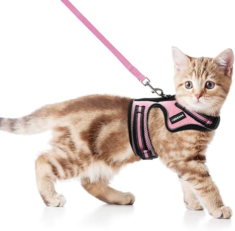 Rabbitgoo Harnais Chat Avec Laisse Harnais Respirant Pour Chaton Avec Bandes Reflechissantes Gilet Rose Reglables Facile A Mettre Amazon Fr Cuisine Maison
