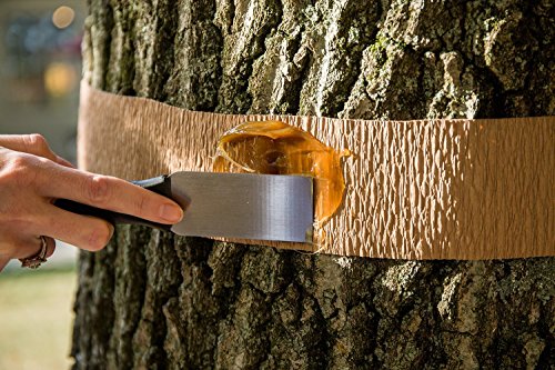 Tanglefoot Bundle 2 Products Tree Insect Barrier Tub + 8-Ounce Tangle-Trap Brush On Sticky Trap Coating - Thumbnail 6