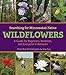 Searching for Minnesota's Native Wildflowers: A Guide for Beginners, Botanists, and Everyone in Between by 
