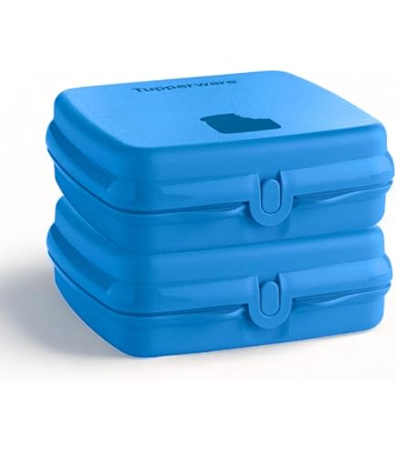 Tupperware Conjunto de porta-sanduíches em roxo, capa articulada