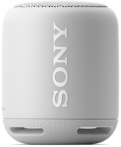 Sony XB10 Portable Wireless Speaker with Bluetooth, Grey (SRSXB10