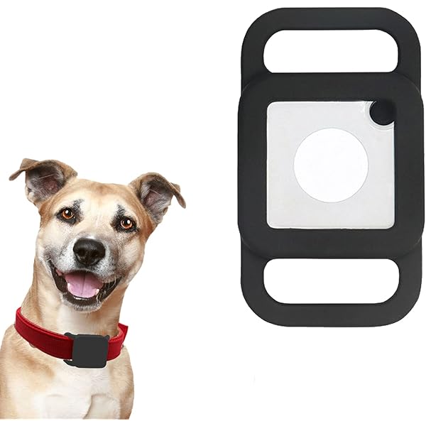 tile for dog tracking