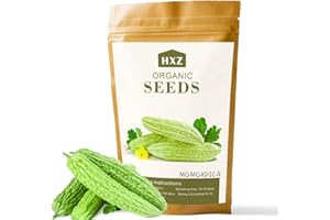 KCT GARDEN Pack of 40 Bitter Melon Seeds for Planting, Asian Bitter Gourd Seeds, Asian Vegetable Seeds