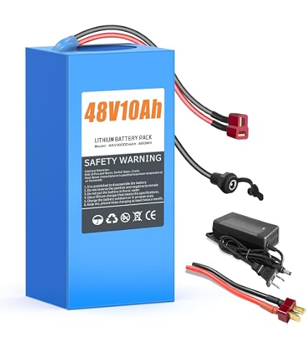 Amazon.com: CXZCXZ 48V Ebike Battery, Lithium Battery with XT60