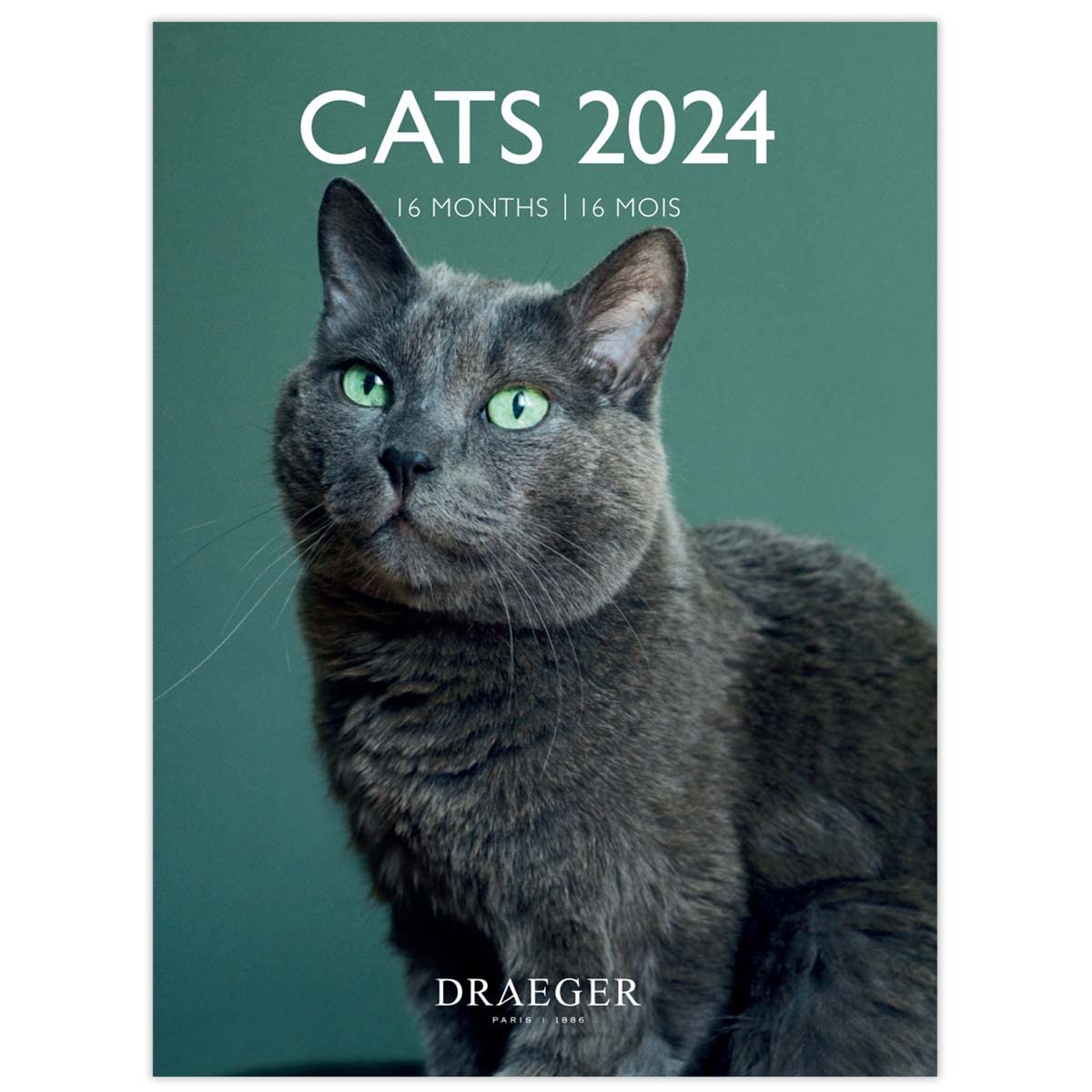 DRAEGER PARIS Small Hanging Wall Calendar Cats 2024 14 x 18 cm 16 Months September 23 to Dec 24 7 Languages Office Kitchen Home Monthly Calendar FSC® Certified Paper Vegetable Inks