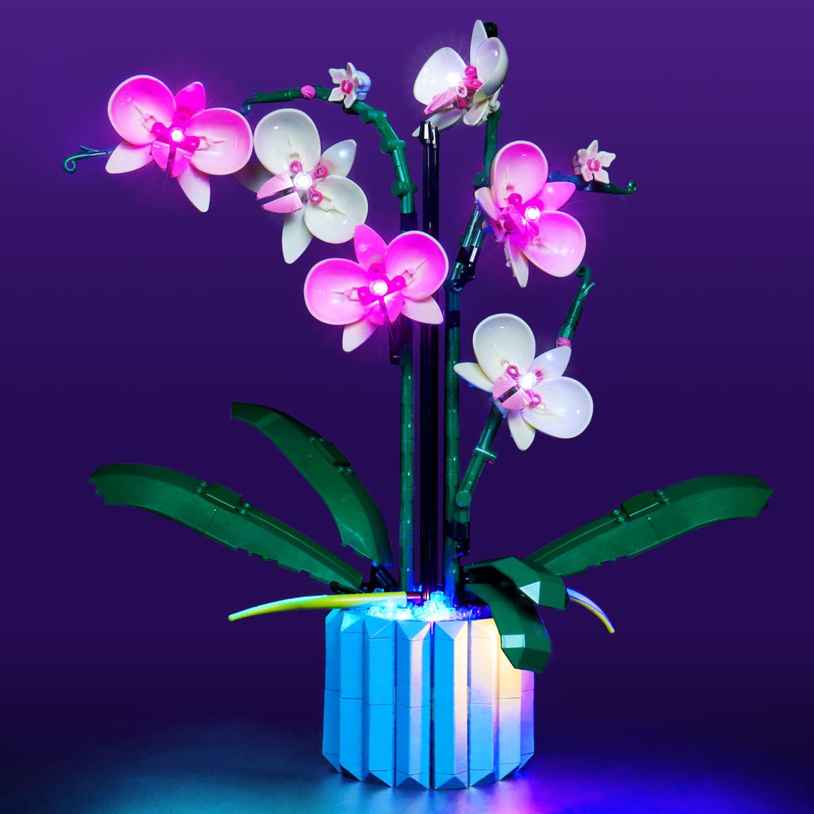 Light Kit Compatible with Lego Orchid Botanical Collection 10311 (NO Model, Only Light kit), Light Compatible with Lego 10311 Orchid for Fans-NO LEGO's with Light Kit (Light Control Version)