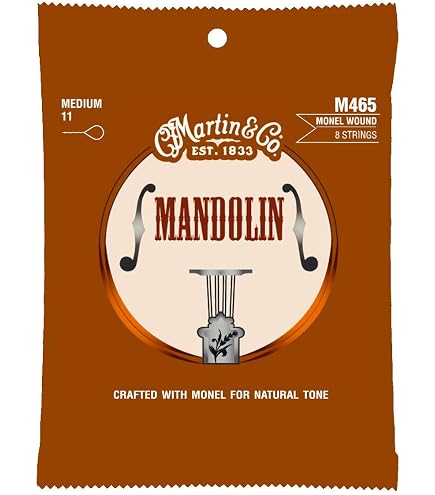 Amazon.com: Golden Gate M-401A F-Model Mandolin Pickguard Assembly