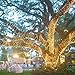 DeVida Solar String Lights 120 Warm White LED, Easy to Install, Automatically Turns on at Night, Outdoor Waterproof, 55 ft Set Includes 13 ft Lead Wire Plus 42 ft Lighted Strands for Tree Wrap
