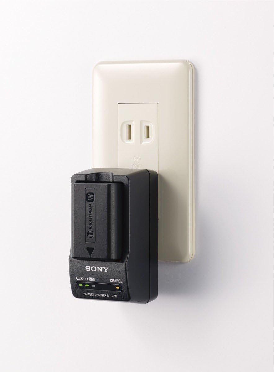 Sony BC-TRW W Series Battery Charger : Sony Bc Trw : Camera & Photo