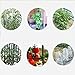 Tomato Cage 5ft 6-Pack Large Tall Tomato Cages Tomato Stakes Plants Supports Garden Stakes,40 Clips and Plant Ties Include, Green