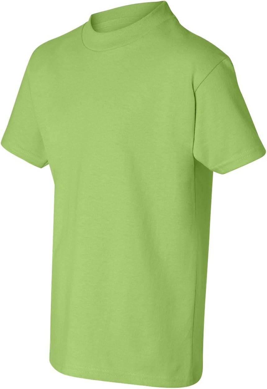 Hanes - Tagless Youth T-Shirt - 5450: Clothing