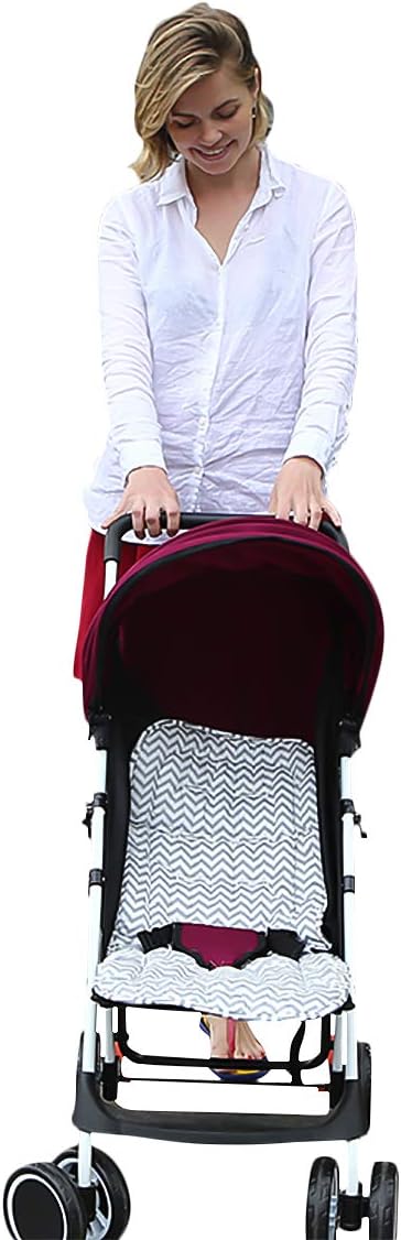 sonarin stroller