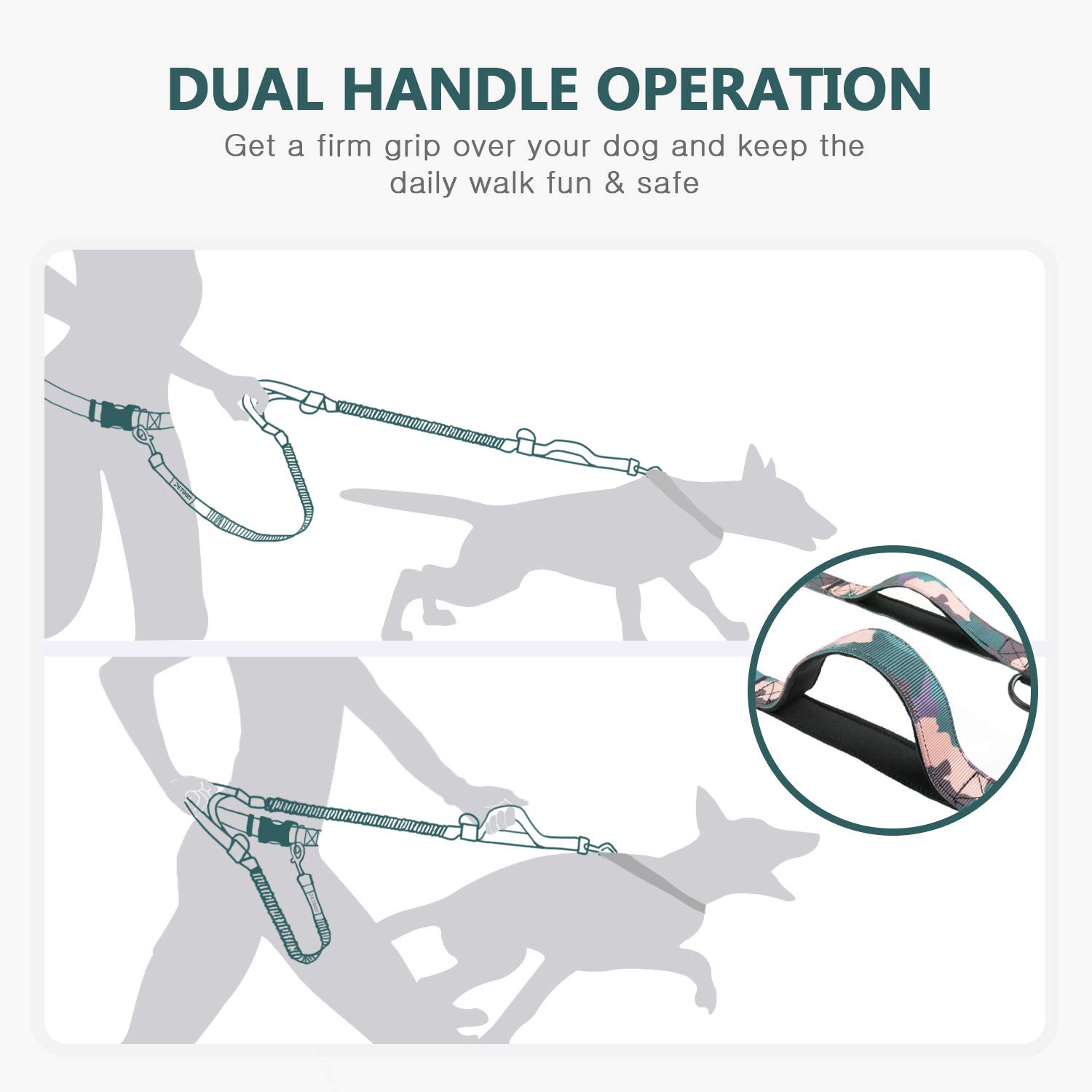 fun dog leashes