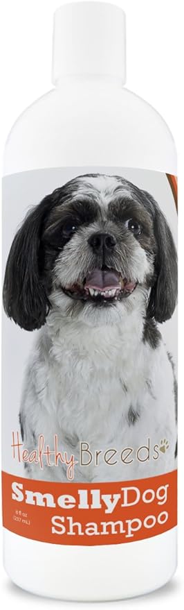 non stinky stuff for dogs amazon