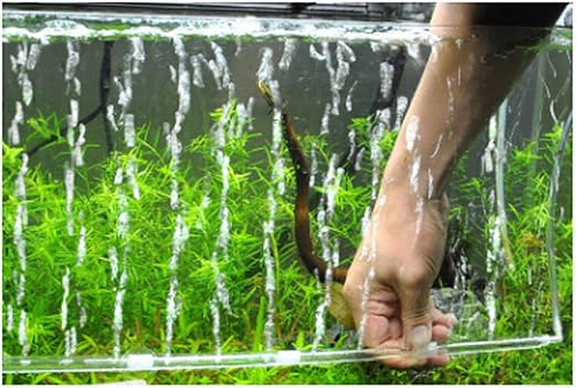 clearance aquarium supplies