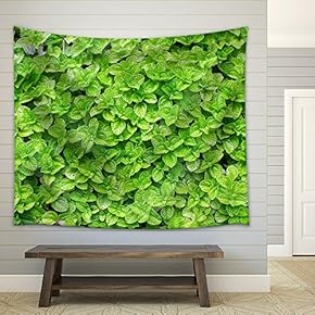 Green Leaf Pattern Stock - Fabric Wall Tapestry Home Decor - 51x60 inches