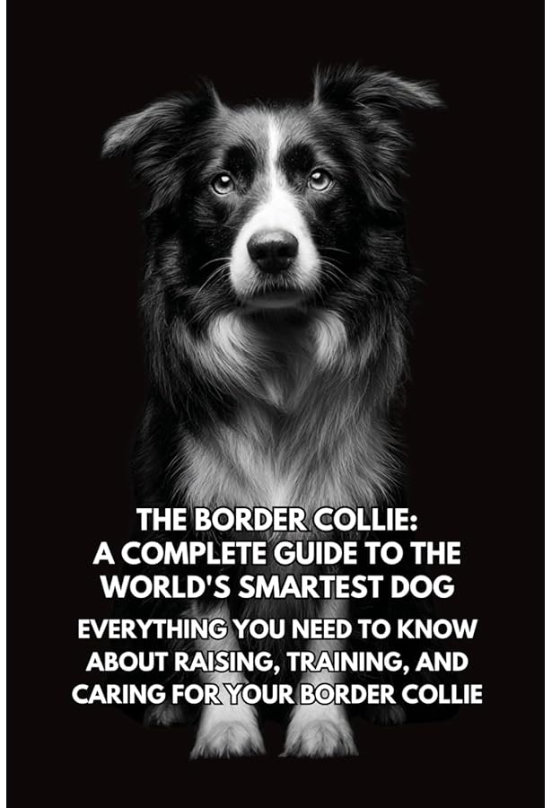 Border Collie (CompanionHouse Books) A Kennel Club Books