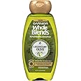 Garnier Whole Blends Replenishing Shampoo Legendary Olive, Dry Hair, 12.5 fl. oz.