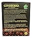 PureGano Premium Ganoderma Black Instant Coffee - 180mg Red Reishi Mushroom Lingzhi Lucidum Extract 2 in 1 Sugar Free - 2 Boxes + 6 Bonus Samples - 66 Sachets Total