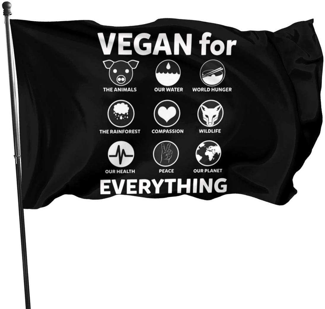 pali della bandiera rv