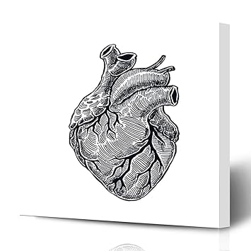 Amazoncom Ahawoso Canvas Print Wall Art 16x16 Inch
