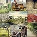 Digital Backgrounds FARM Vol. 2 Green Screen Photography Backdrops