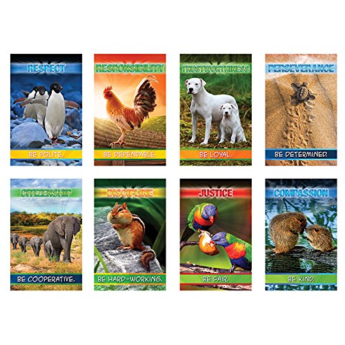 North Star Teacher Resource Growing in Character Bulletin Board Set