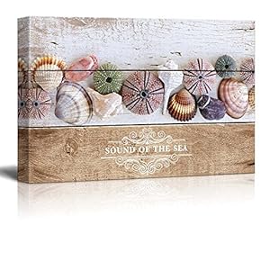 Marine Theme Canvas Wall Art - Beautiful Seashells - Giclee Print Modern Wall Art | Stretched Gallery Wrap Ready to Hang Home Decoration - 12x18 inches