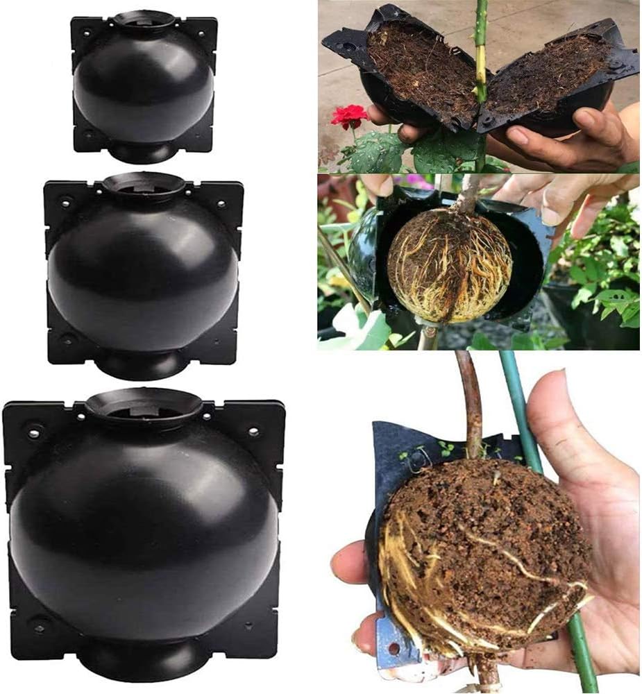 Yard, Garden & Outdoor Living 5pcs Plant Rooting Device Growing