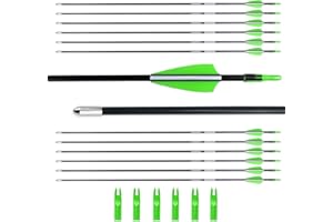 BOWSOUL 28“ Archery Arrows Training Practice Target Arrows for Kids Youth or Beginners Safe Blunt Points Durable Shaft on Rec