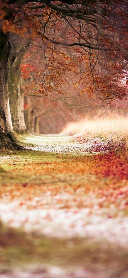 PeelitStickit, Beautiful Nature Wall Murals, ID-0016, vinyl, Multi-colour