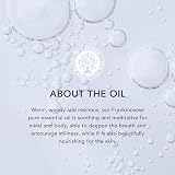 Tisserand Frankincense Essential Oil 9ml Wild Crafted Aromatherapy Oil view 3
