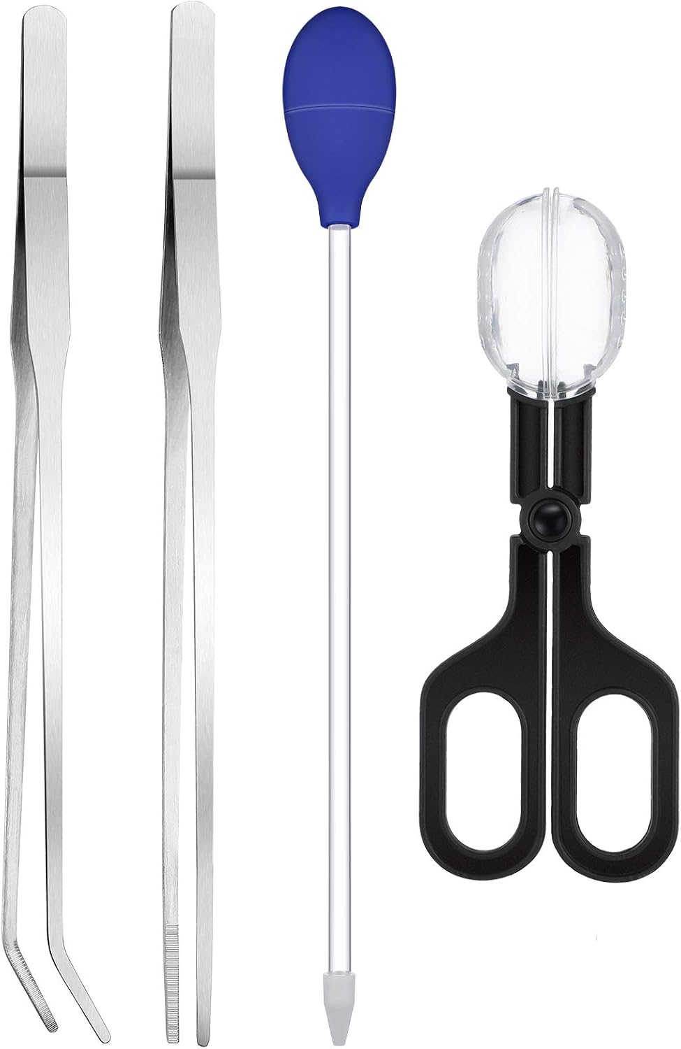 automatic gecko feeder