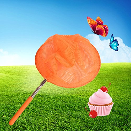 3 Onepine+Telescopic+Butterfly+Catching+Extendable